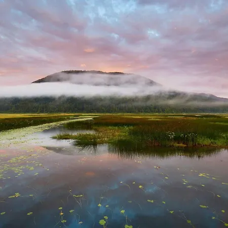 Holy Harmony Apartment