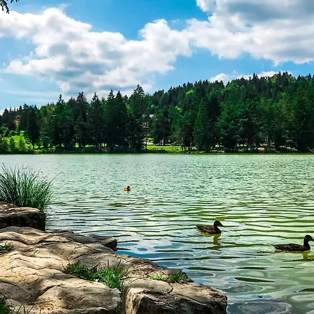 Apartment Holy Harmony