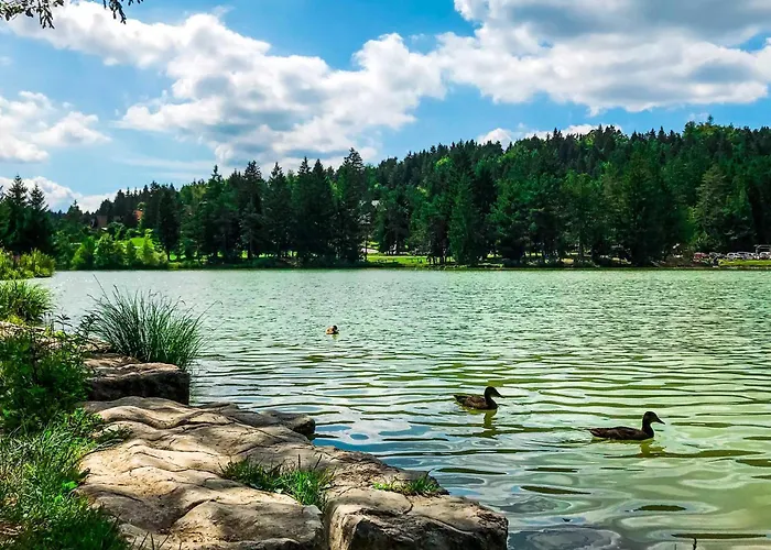 Appartamento Holy Harmony